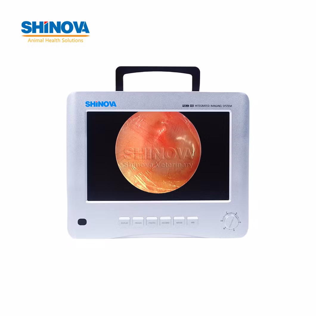 Digital HD Veterinaryotoscope for Veterinary (EndoBox-EarView)