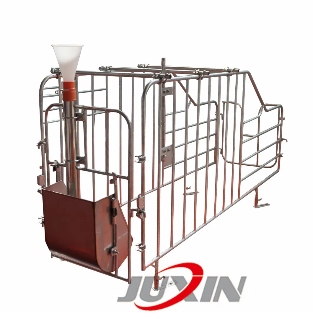 Factory Direct Sales Pig Penning System and Customization Sow Crate Gestation Cage