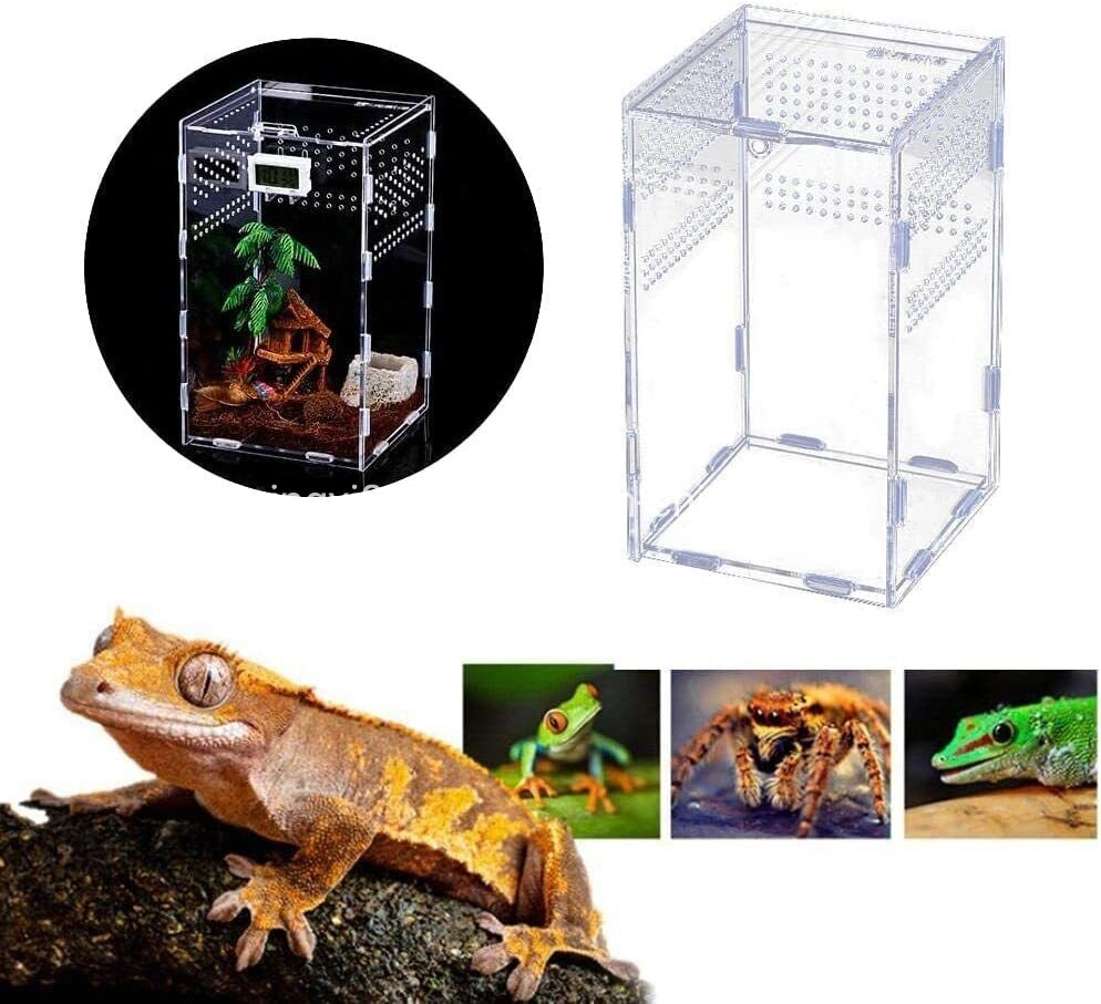 Hot Sale Factory Custom Acrylic Reptile Containers