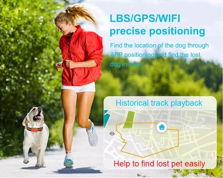 GPS Tracking System