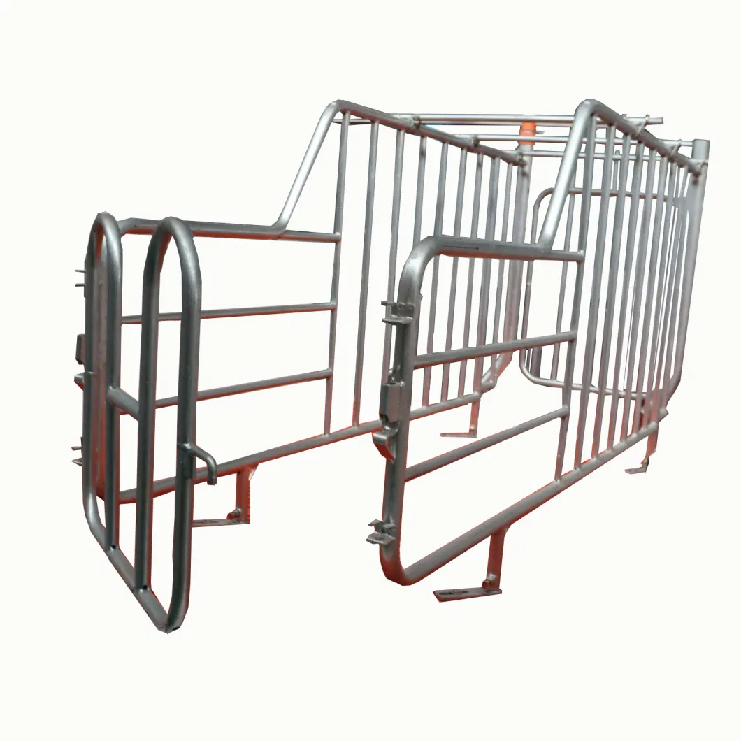 Factory Price Galvanized for Sow Gestation Crate Pen for Pig Farming Equipment