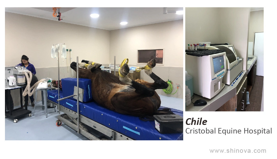 Veterinary High Frequency Mobile Digital C-Arm System