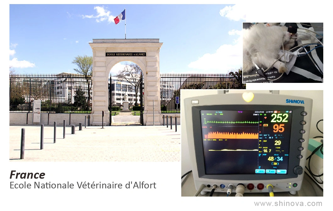 Veterinary High Frequency Mobile Digital C-Arm System