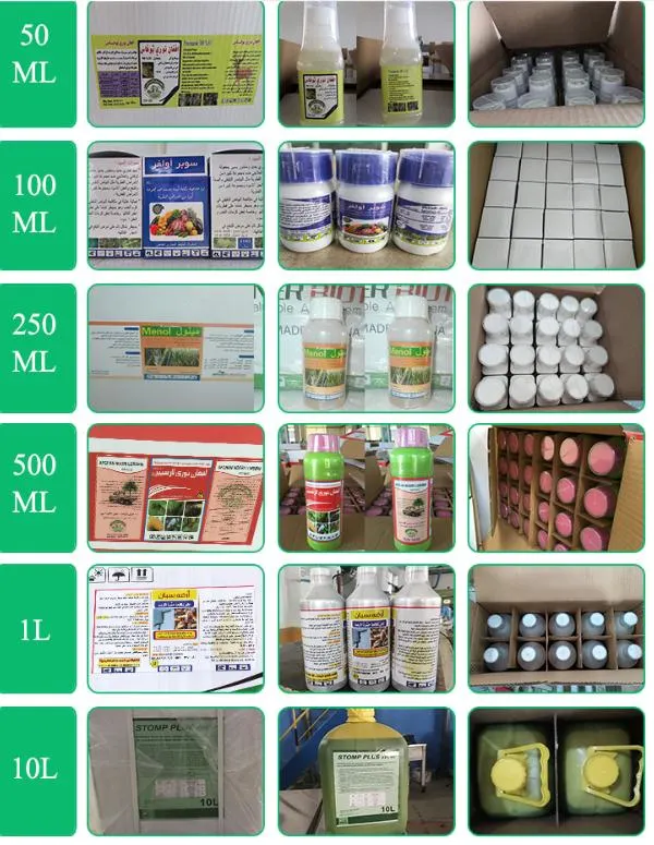 Ruigreat Chemical Agri Insecticide Diflubenzuron 25%Wp /High Quality 20% Sc 48% Sc 25% Wp Insecticide Diflubenzuron