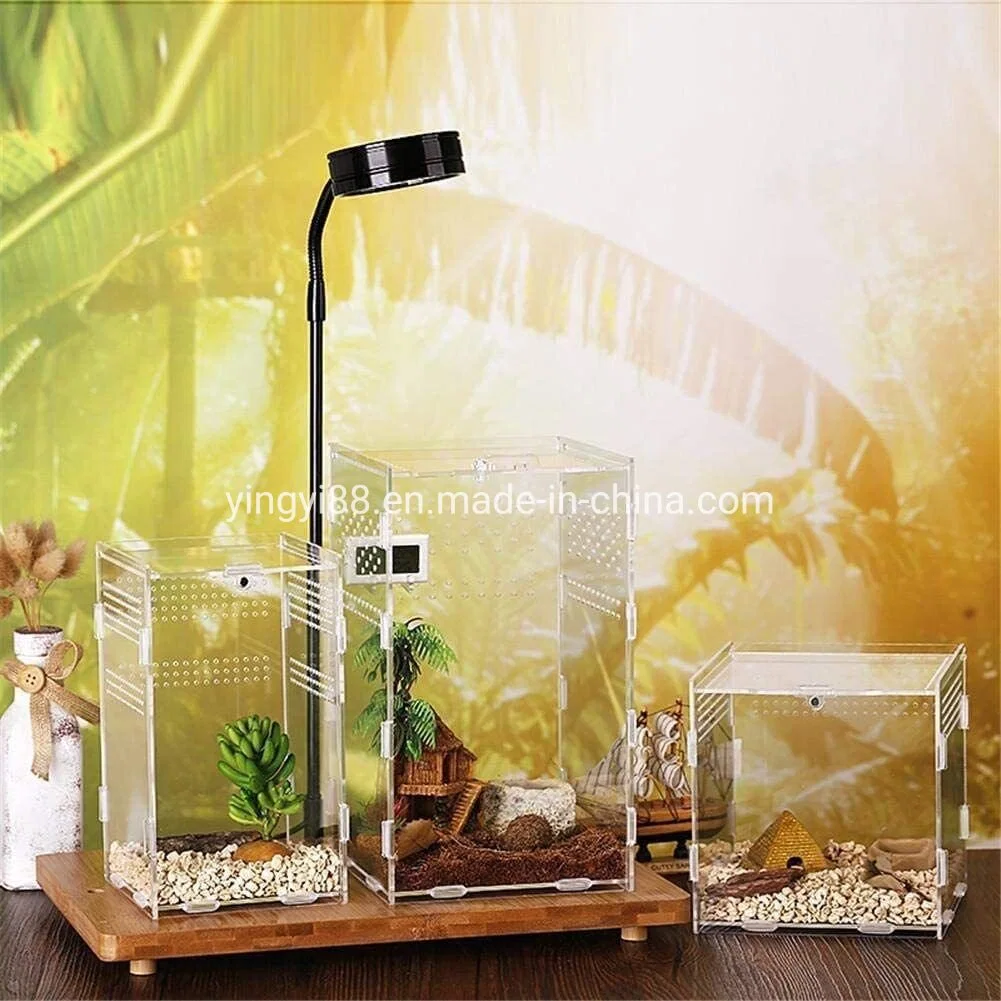 Hot Sale Factory Custom Acrylic Reptile Containers