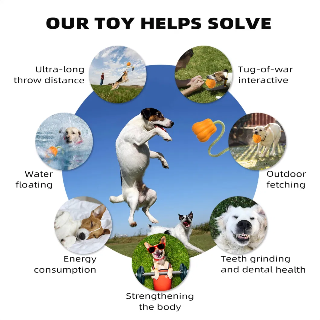 Trending Indestructible Pet Chew Squeak Toys Pet Training Behavior Products