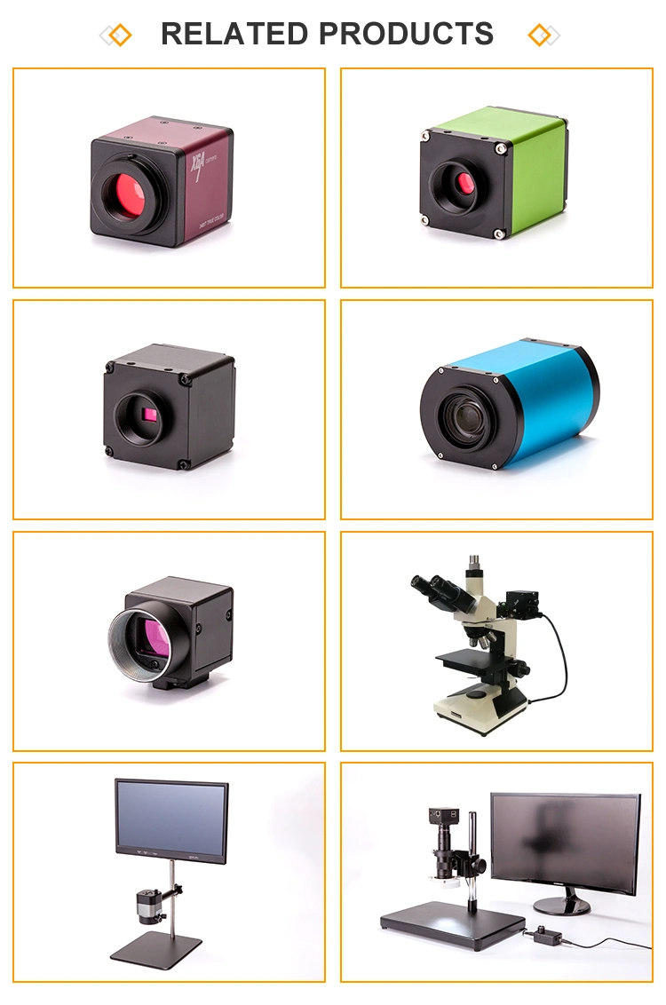 C-Mount Digital Camera for Industrial Imaging