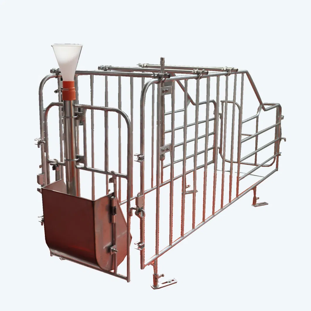 High Quality Galvanized Sow Gestation Stall/Crate for Pig Farming