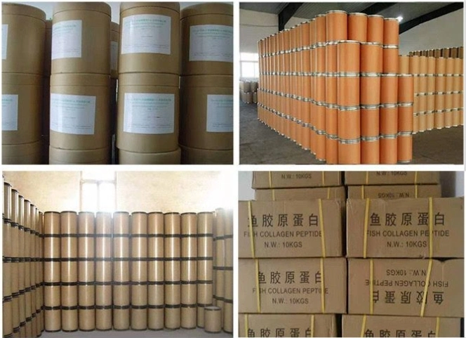 Raw Material Fish Collagen Peptide