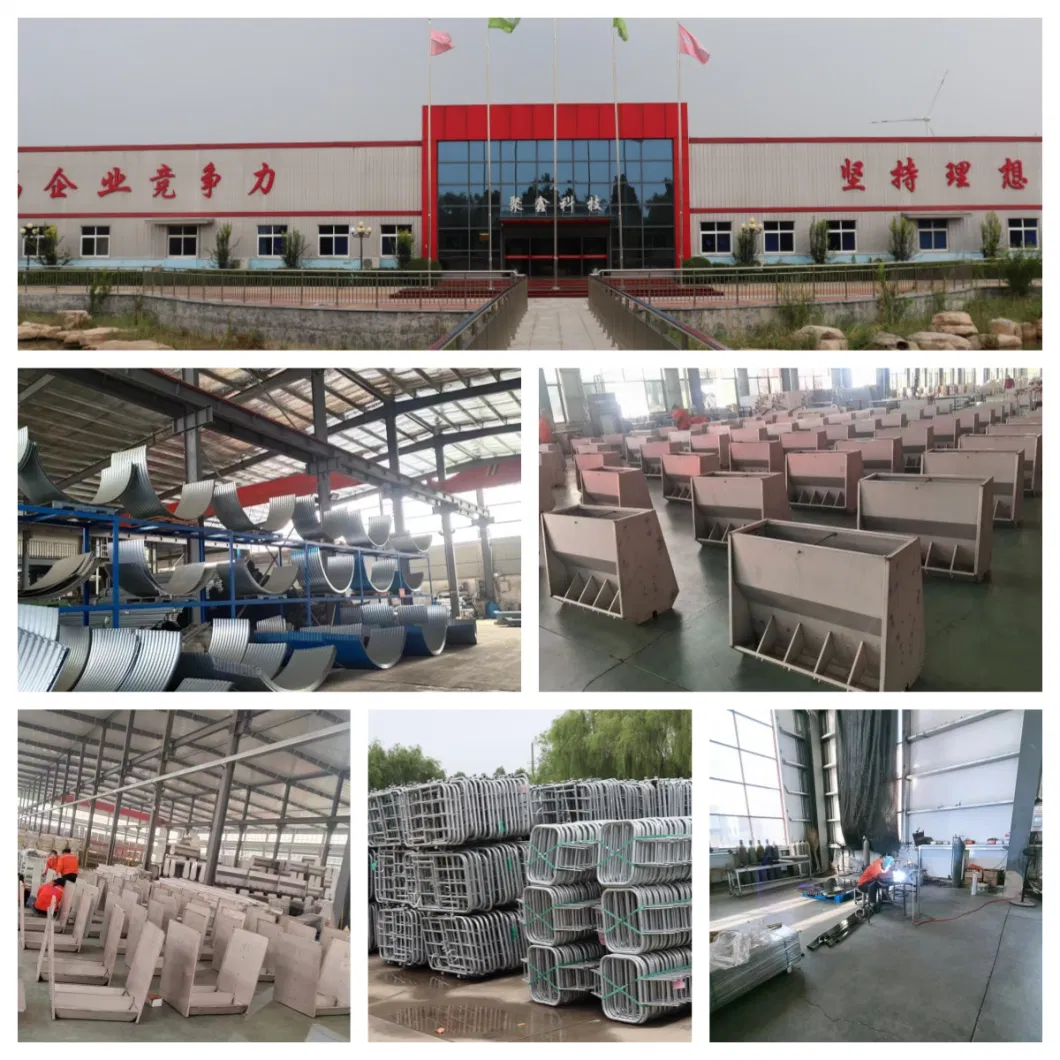 Factory Price Galvanized for Sow Gestation Crate Pen for Pig Farming Equipment