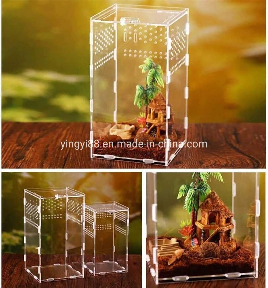 Hot Sale Factory Custom Acrylic Reptile Containers