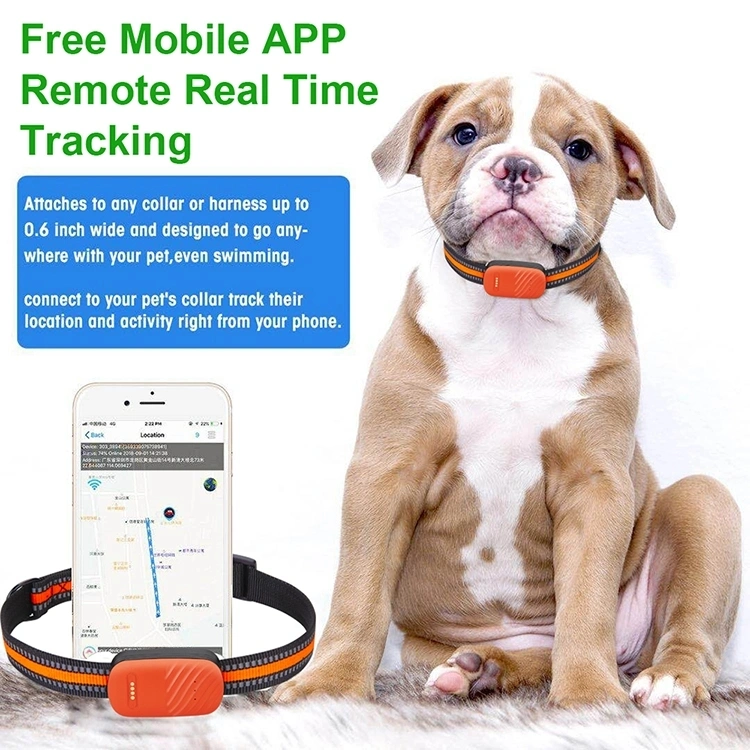 GPS Tracking System