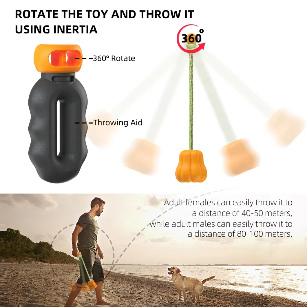 Trending Indestructible Pet Chew Squeak Toys Pet Training Behavior Products