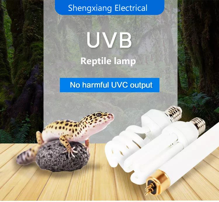 UVA UVB Bulbs Glass House Pet Supplies PAR30 35W 50W 70W 100W Reptile Clamp Lamp