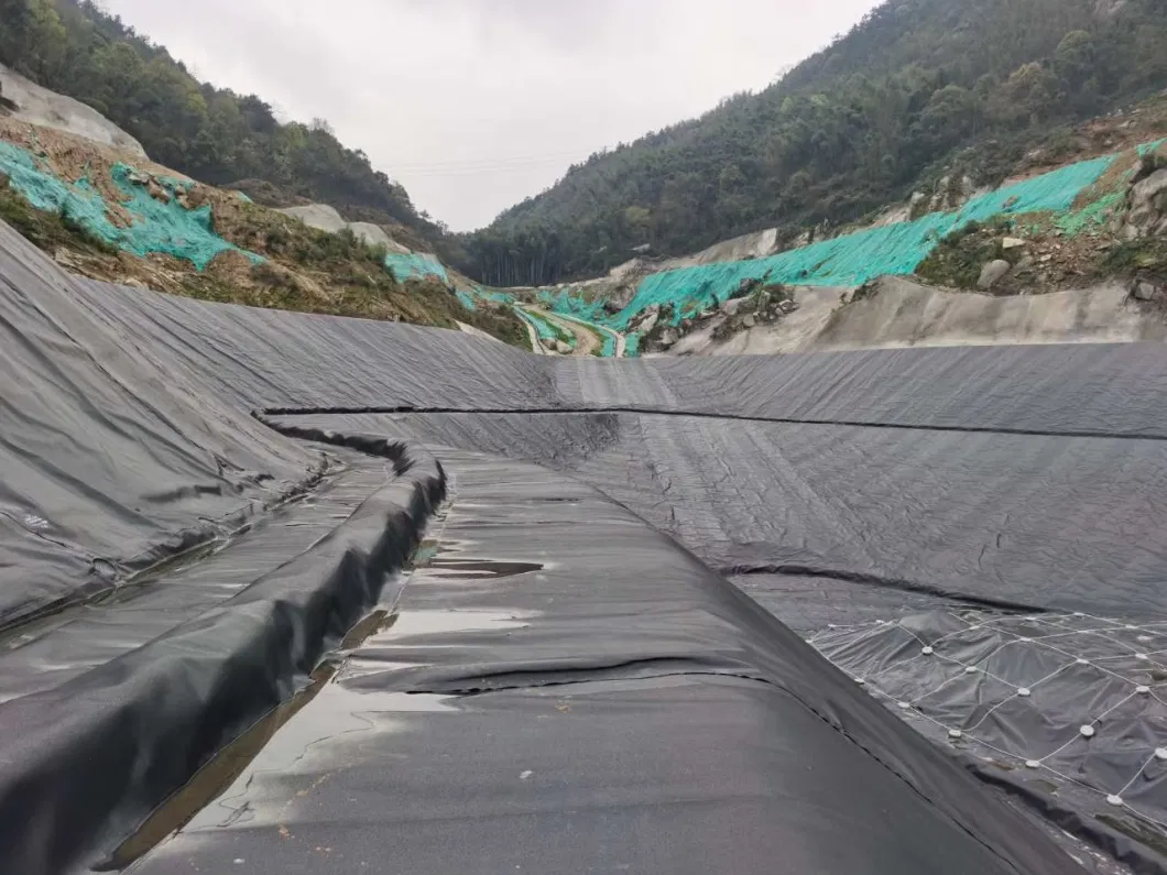 Waterproofing Geomembrane for Dam Liner Landfill Mining Water Reservoir Geomembrane