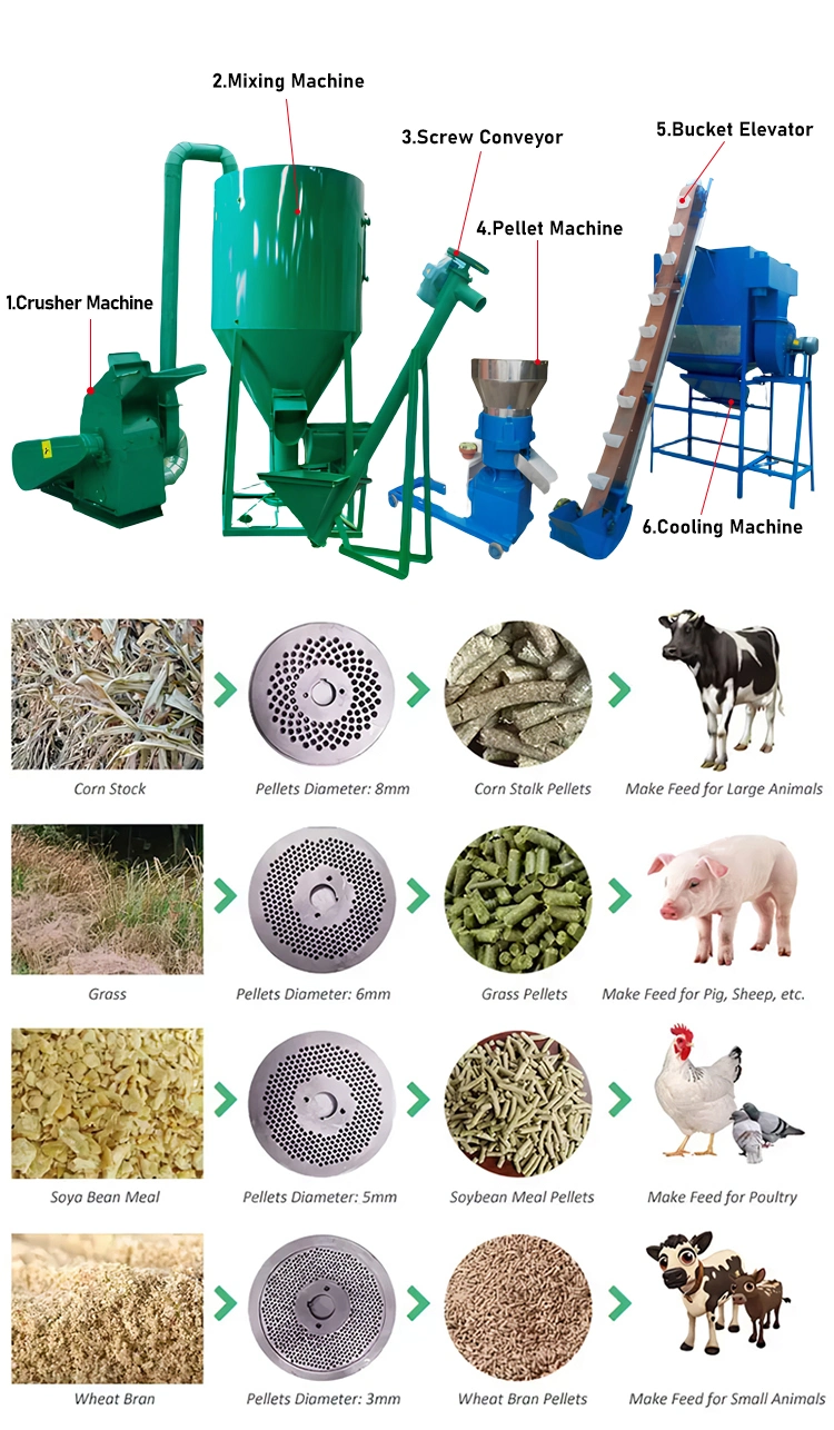 Sheep Feed Pellet Machine Pellet Product Line 1000kg/H for Sale