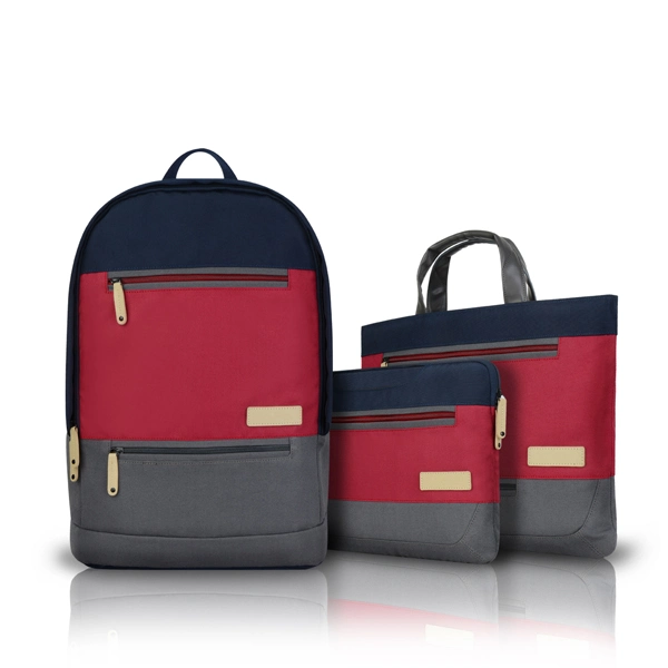 Famous Design Colored Nylon Handbags Laptop Backpack Bag (FRT4-38)