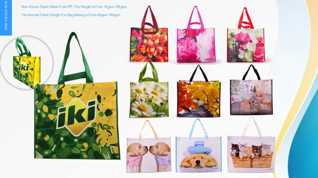 Double Handle Laminated PP Non Woven Shopping Bag for Supermarket