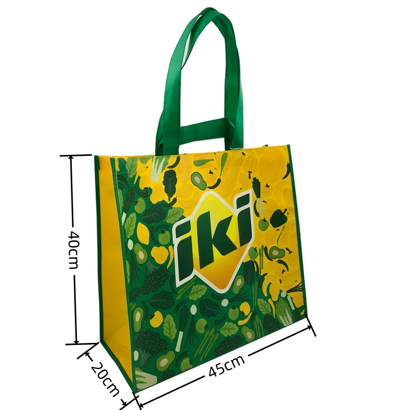 Double Handle Laminated PP Non Woven Shopping Bag for Supermarket