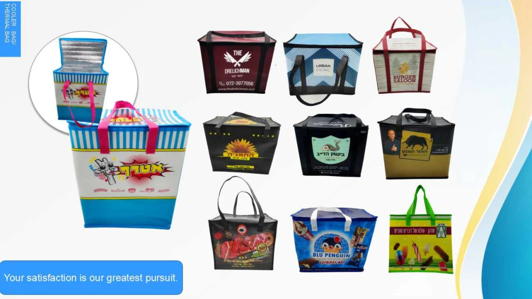 Double Handle Laminated PP Non Woven Shopping Bag for Supermarket