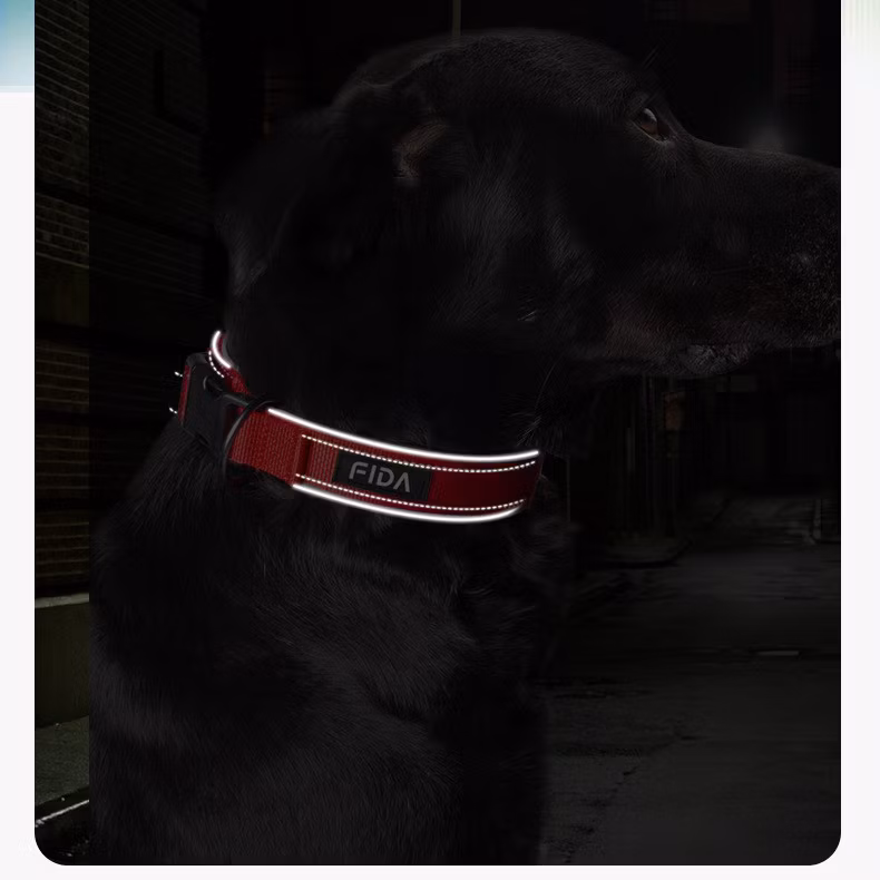 Whole Sales Nylon Reflective Pet Collar Dog Collar