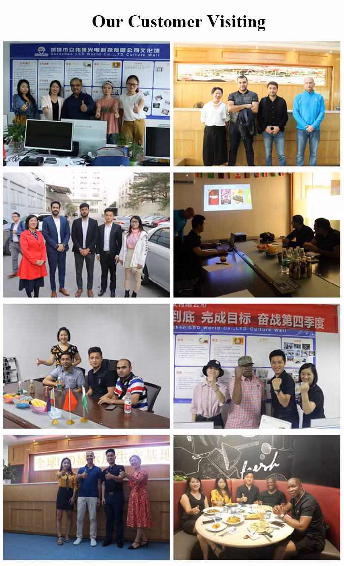 P5 16 Scan Small Pixel Pitch Indoor Fixed LED Display Panel with 960X960 Cabinets Flexible 3D Transparent Advertising Digital LED Display