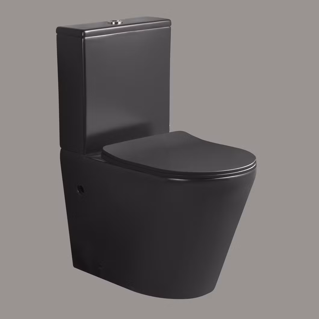 Personalized Hand Flush Toilet Bowl Black Matte Water Closet Two Piece