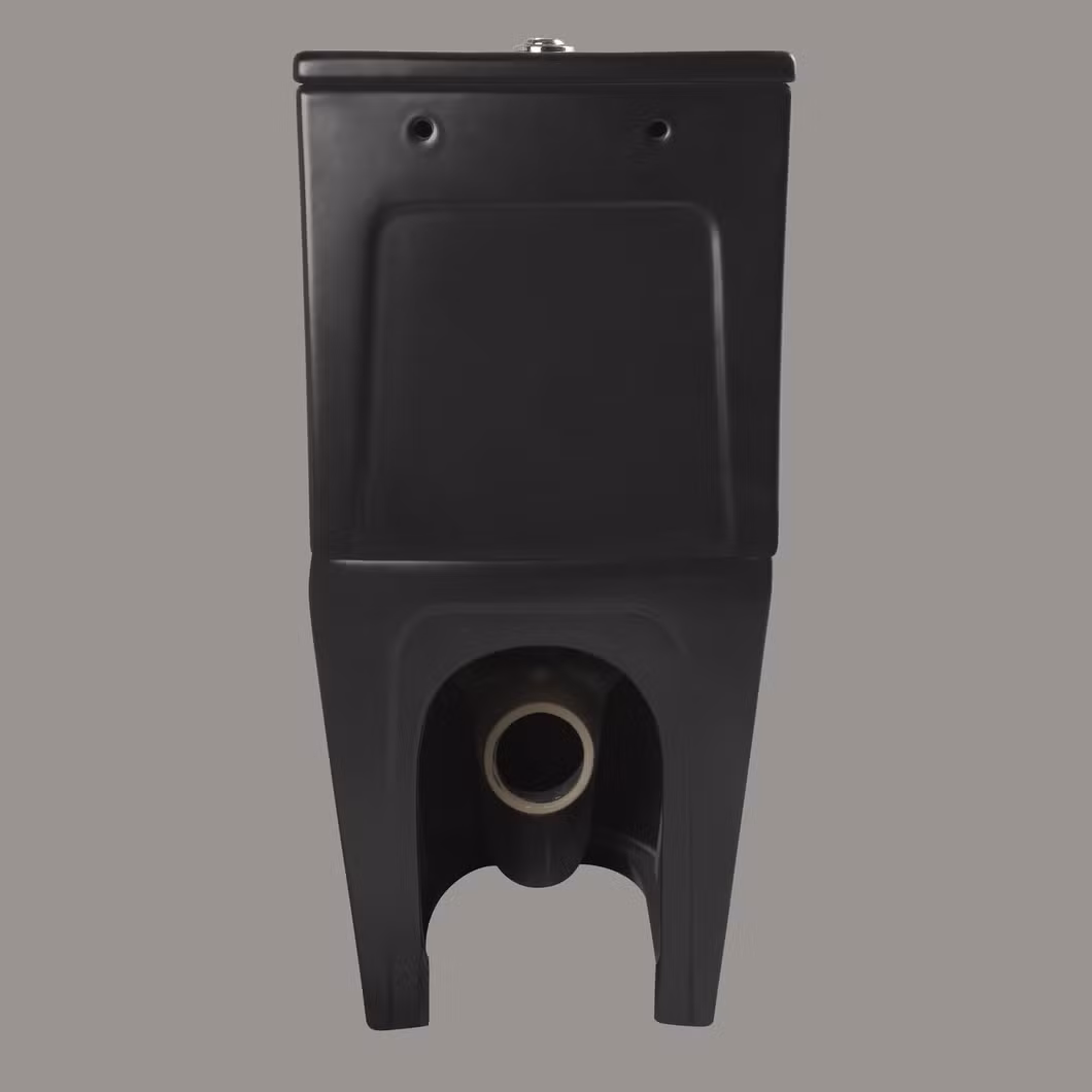 Personalized Hand Flush Toilet Bowl Black Matte Water Closet Two Piece