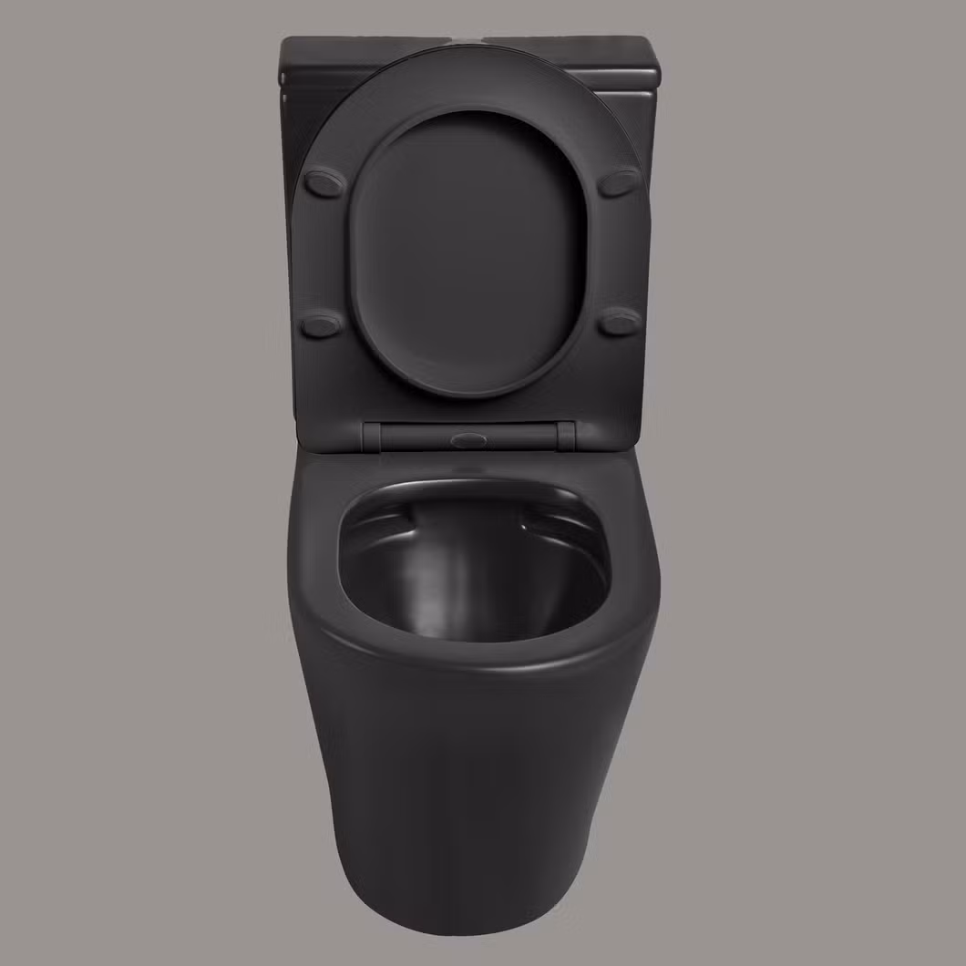 Personalized Hand Flush Toilet Bowl Black Matte Water Closet Two Piece