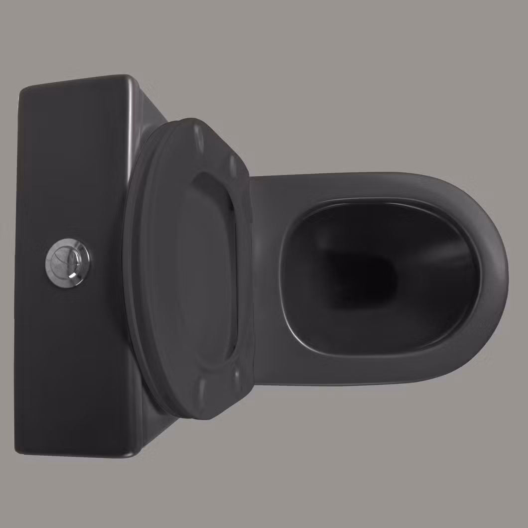 Personalized Hand Flush Toilet Bowl Black Matte Water Closet Two Piece