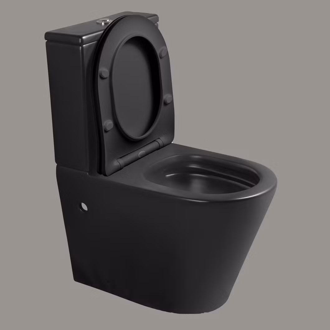 Personalized Hand Flush Toilet Bowl Black Matte Water Closet Two Piece