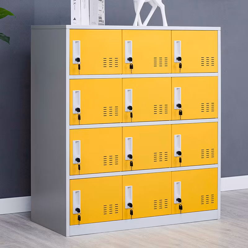 Colorful School Metal Wardrobes Locker Steel Knock Down Locker Gym Lockers 12 Doors