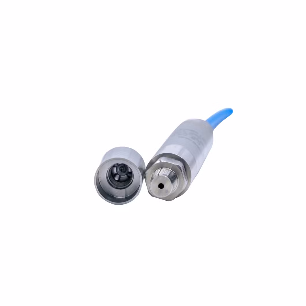 Microsensor CSA ATEX IECEX 4-20mA Submersible Liquid Level Transimtter for Chemicals Fertilizer Measurement Agricultural Irrigation Equipment MPM426WPC