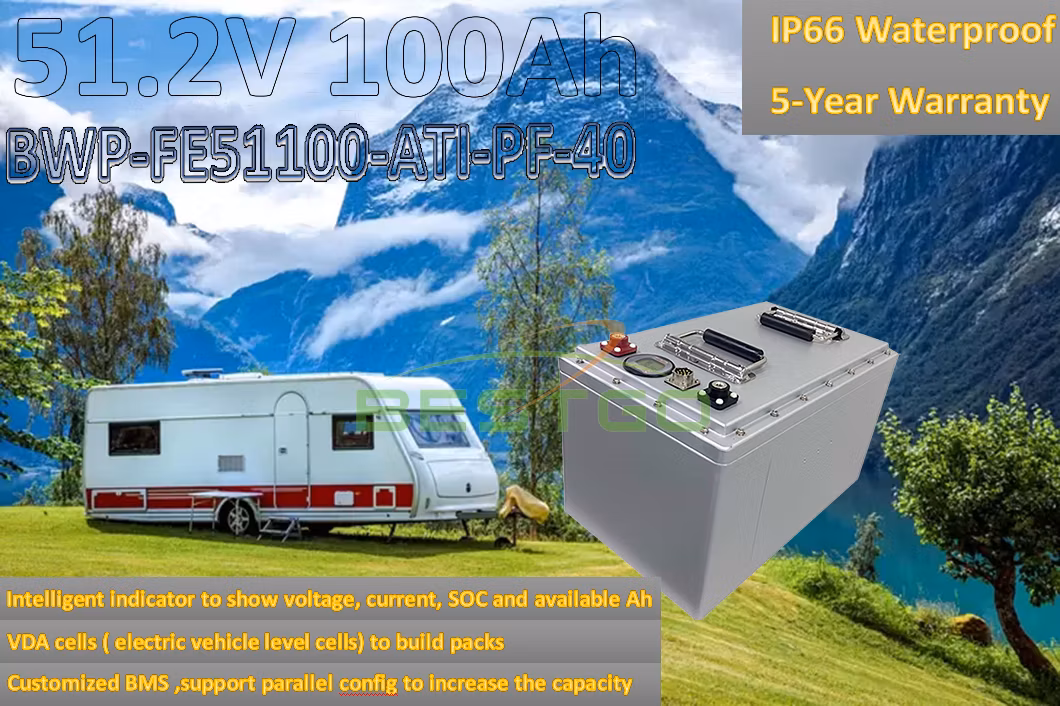 Bestgo Wholesale Deep Cycle Lithium Ion Batteries 24V 48V 100ah 200ah Li Ion LiFePO4 Solar RV Marine Energy Storage Iron Phosphate Battery Pack