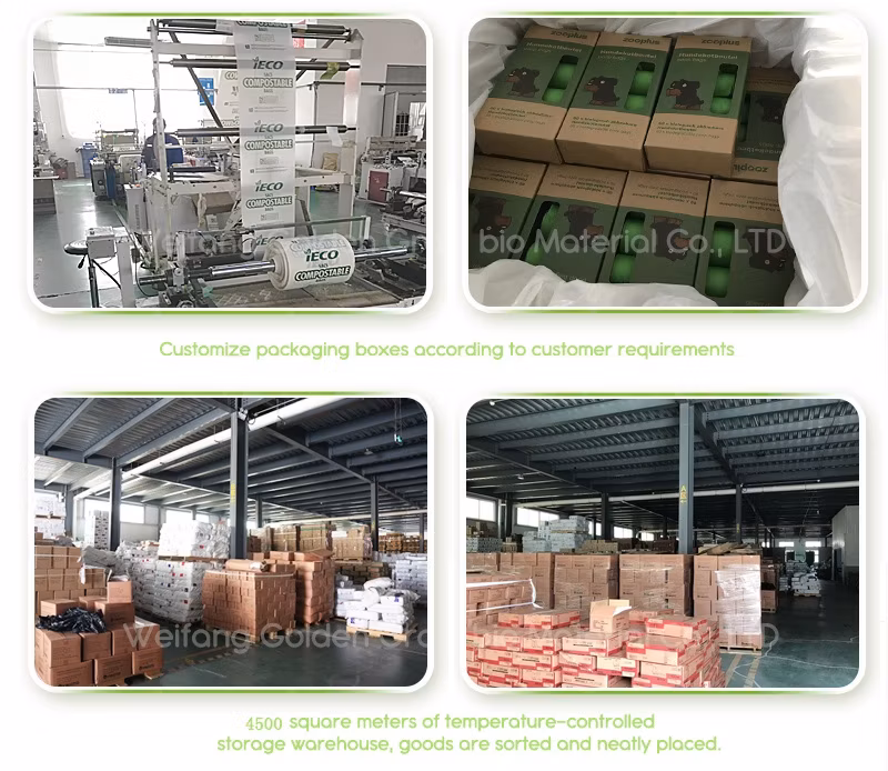 Compostable Clear Eco Friendly Packaging Custom Biodegradable Frosted Logo Plastic Clothing Bag