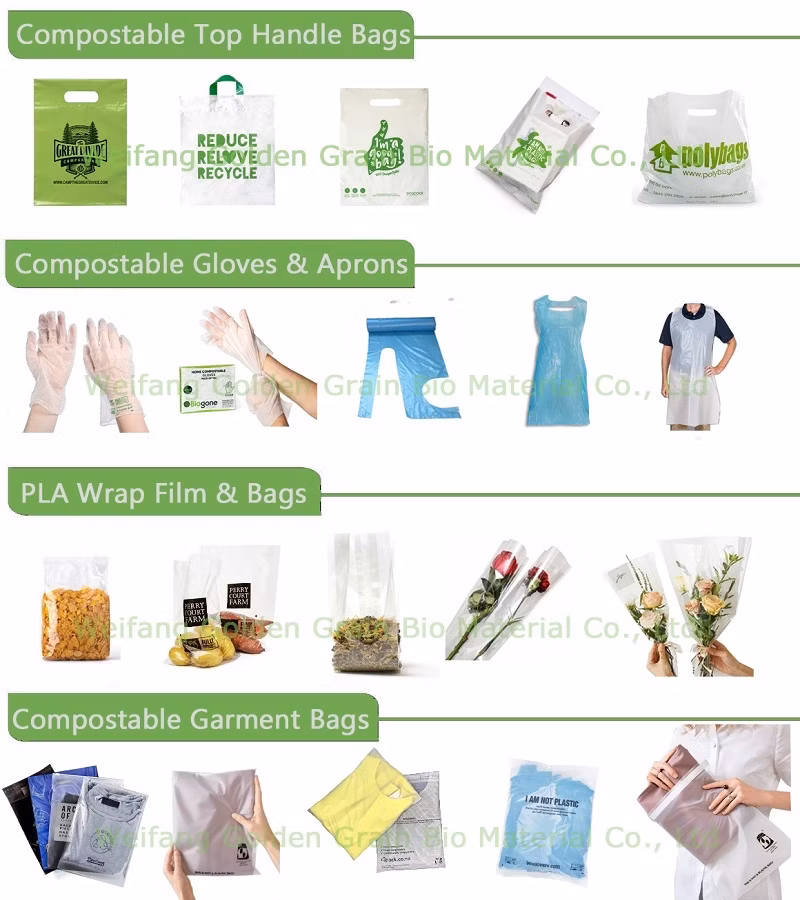 Compostable Clear Eco Friendly Packaging Custom Biodegradable Frosted Logo Plastic Clothing Bag