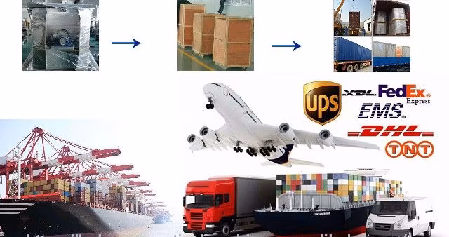 Versatile Dpp-88 Alu/PVC Blister Packaging Solution for All Industries