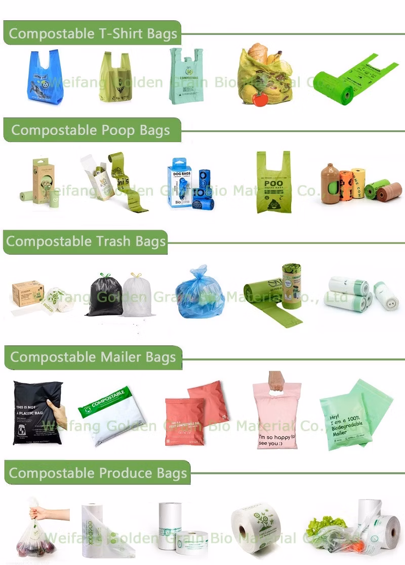 Compostable Clear Eco Friendly Packaging Custom Biodegradable Frosted Logo Plastic Clothing Bag