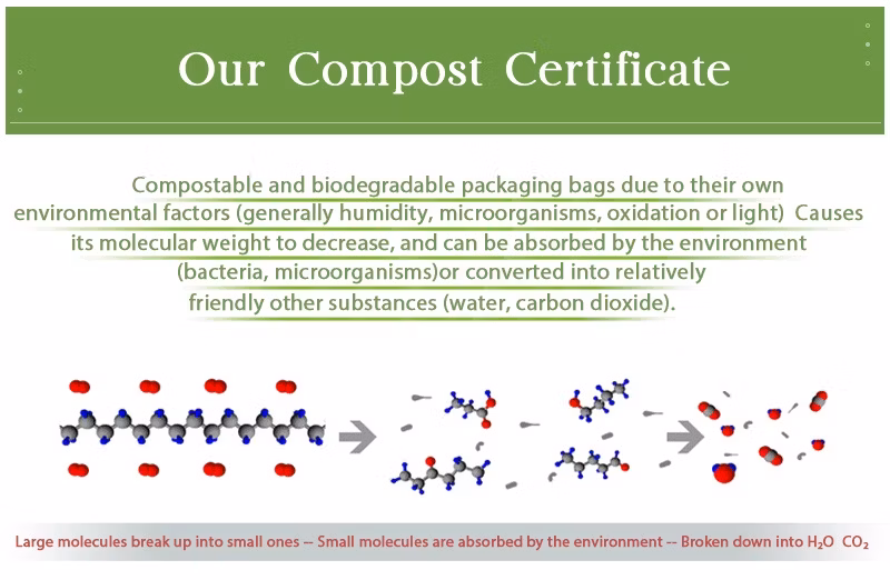 Compostable Clear Eco Friendly Packaging Custom Biodegradable Frosted Logo Plastic Clothing Bag