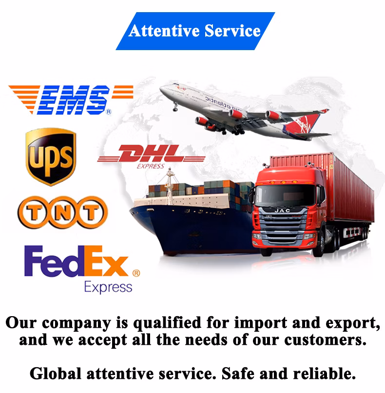 Plastic Polyethylene Nylon Rope Bags Gagging Roped Packet Corded Logo Print Pocket CPE PE Evalux Package Tied Girdle String-Laced Drawstring