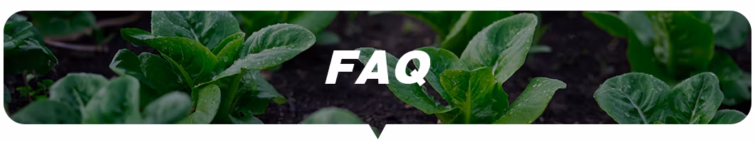 Linuron 25% Wp Herbicide China Pesticide Factory Price