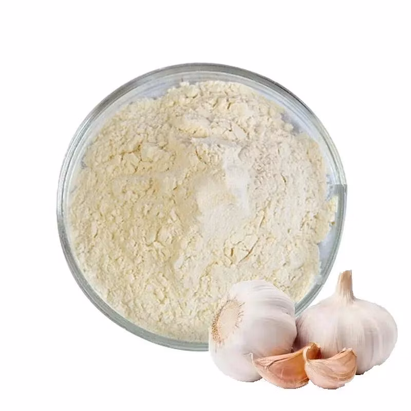 100% Pure Natural Chinese Spices Dried Garlic Extract Powder for Food Seasoning