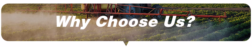 Linuron 25% Wp Herbicide China Pesticide Factory Price
