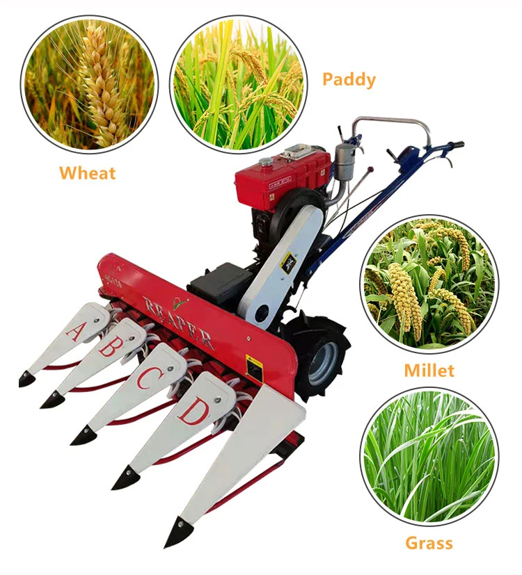 Tractor Walk Alfalfa Reaper Mini Harvester Reaper, 1.2m Width