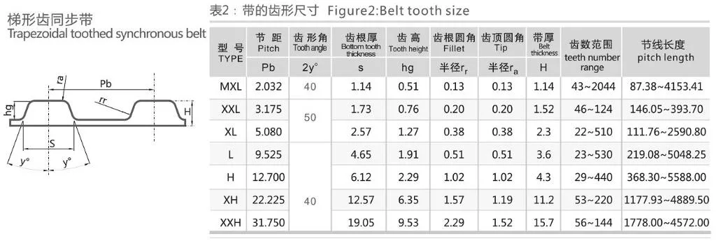 Synchroflex T2 118mm Tooth Pitch: 2mm /Amount of Teeth: 59/Belt Length: 118mm