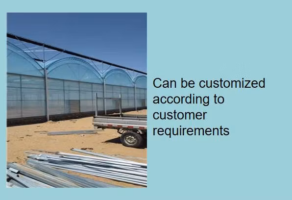 Agricultural Simple Spring and Autumn Inserted Single Greenhouse
