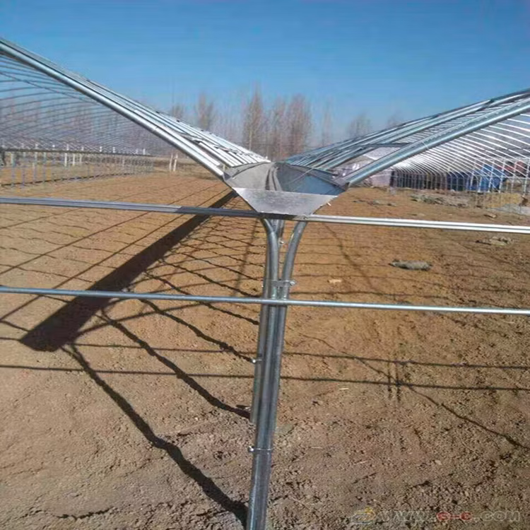China Low Price Easy to Install Tunnel Metal Structure Plastic Film Hot DIP Galvanized Frame Structure Greenhouse