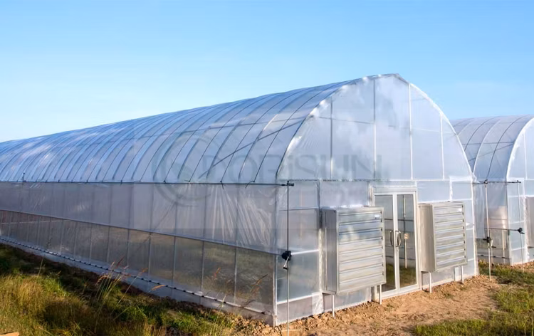 Vertical Rolling Table Polytunnel Agricultural Orangery Arch Galvanized Steel Frame Greenhouse