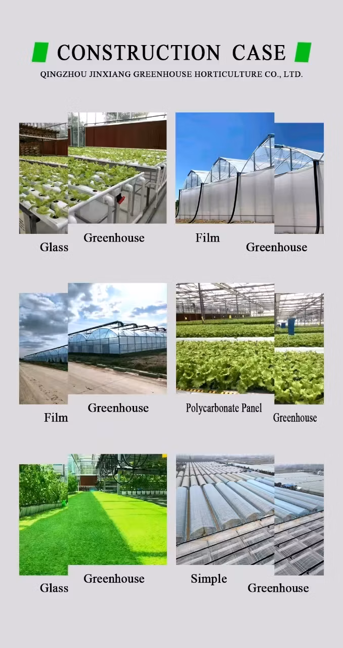 Low Cost Nursery Agricultural Plastic Film Single-Span Aluminum Frame Structure Flower Greenhouse for Plants Growing