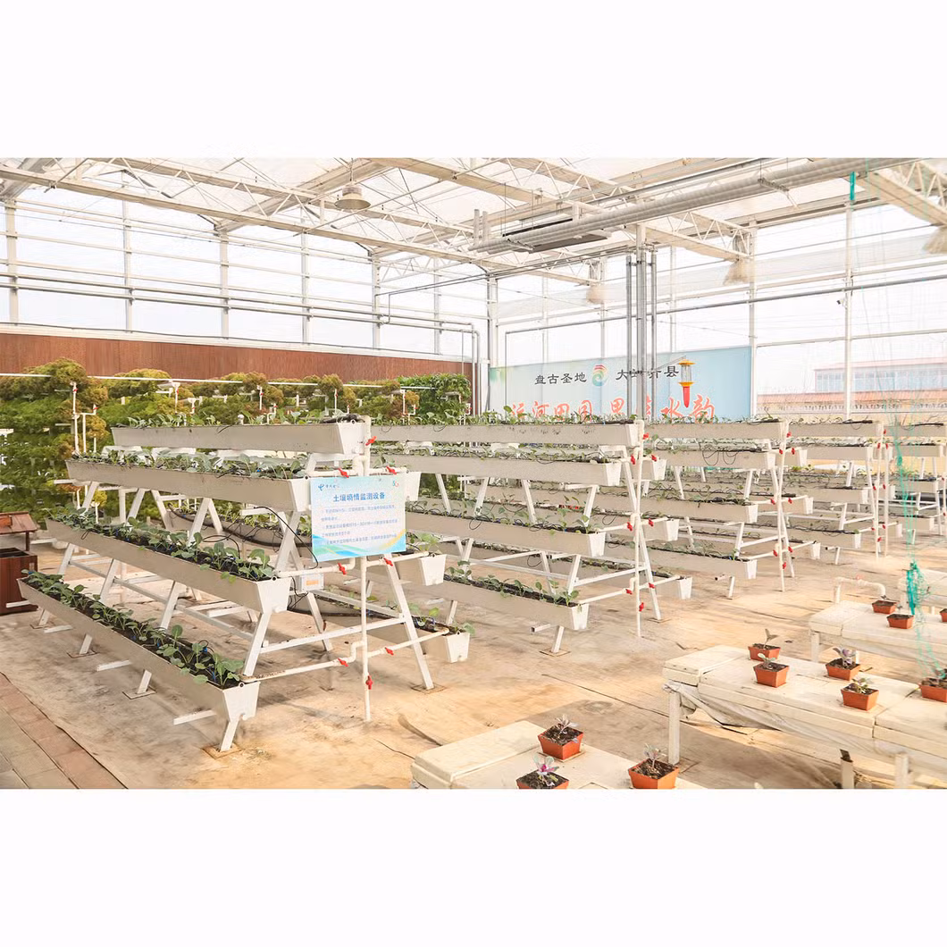 Agricultural Simple Spring and Autumn Inserted Single Greenhouse